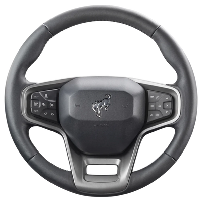 OEM steering wheel