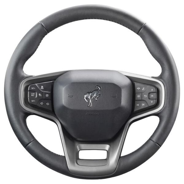 OEM steering wheel